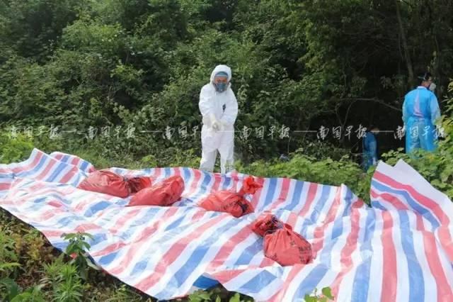 廣西自然美景治愈之旅，探索自然魅力的探索之旅