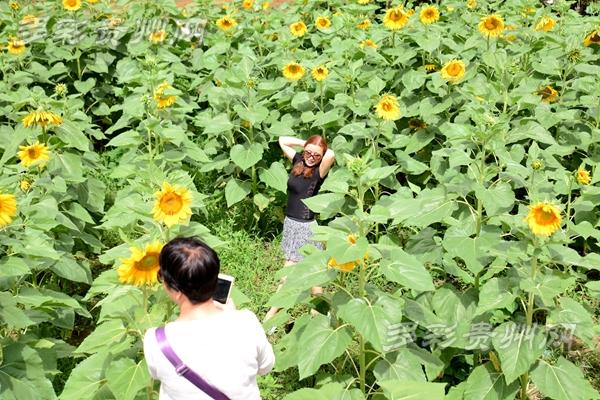 貴州桐梓九壩最新圖片,貴州桐梓九壩最新圖片——科技前沿，重塑生活體驗(yàn)